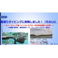 ７分素潜りダイビングに挑戦1２ースノーケリング（インストラクタ付き海洋練習日12