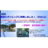 ７分ー素潜りダイビングに挑戦（その12 ）～スキンダイビング編海洋ツアー12回目