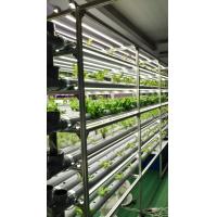 水耕栽培植物育成用LEDライト、水中ポンプと新品水耕栽培器材・備品/教育用キット