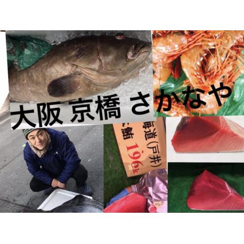 生鮮魚、天然魚、高級魚、貝類、干物