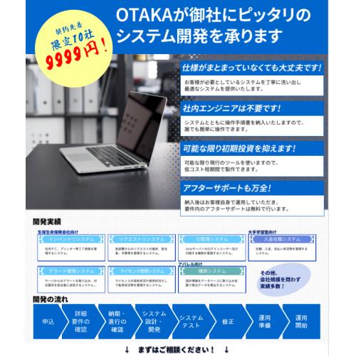 限定10社　社内システム開発　9,999円