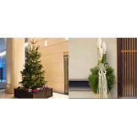 クリスマスツリーや門松などの季節装飾