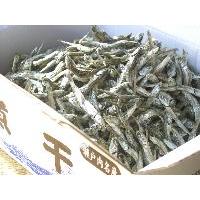 おじゃこサブレ